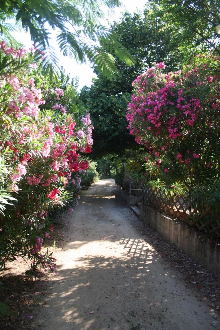 Costa Di Sognu Βίλα Εξωτερικό φωτογραφία