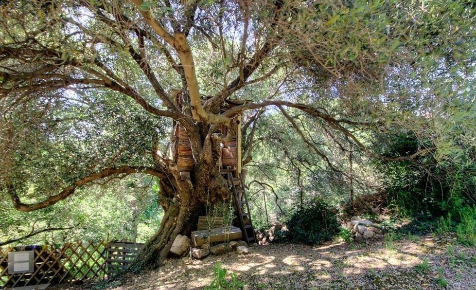 Costa Di Sognu Βίλα Εξωτερικό φωτογραφία